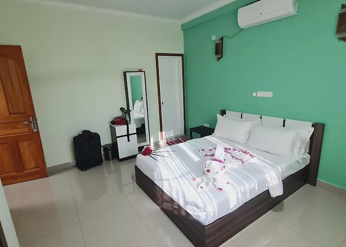 Aanirustayinn